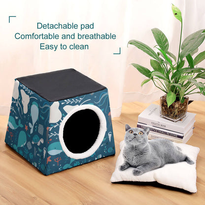 Capsule pet Waterloo