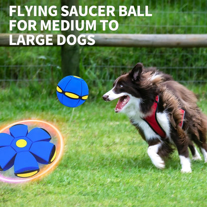 Final 3 Hours: 50%OFF🔥Kids’ Magic Metaball — bouncy ball & flying saucer for family and pets