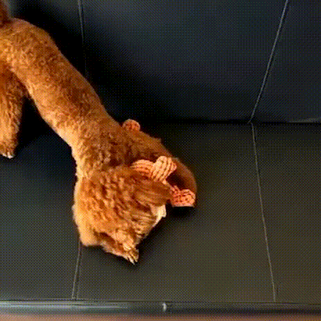 Indestructible Robust Dino--For Aggressive Chewers
